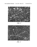 GROWING METAL NANOWIRES diagram and image