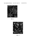 GROWING METAL NANOWIRES diagram and image