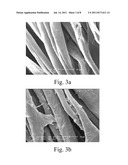 CARBON NANOTUBE EMBEDDED TEXTILES diagram and image