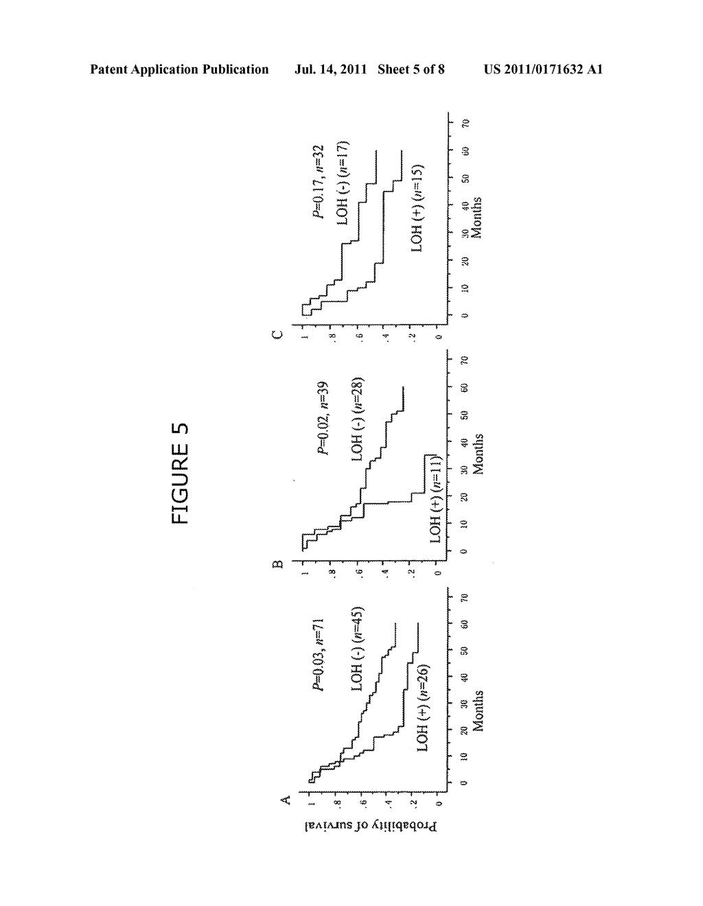 LOSS OF HETEROZYGOSITY OF THE DNA MARKERS IN THE 12Q22-23 REGION - diagram, schematic, and image 06