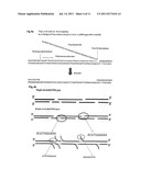 METHODS AND DEVICES FOR SINGLE-MOLECULE WHOLE GENOME ANALYSIS diagram and image