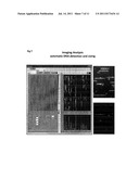 METHODS AND DEVICES FOR SINGLE-MOLECULE WHOLE GENOME ANALYSIS diagram and image