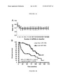 PROCESS FOR PREDICTING THE PROGNOSIS OF SQUAMOUS CELL LUNG CANCER diagram and image