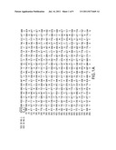 Isolated luciferase gene of L. ITALICA diagram and image