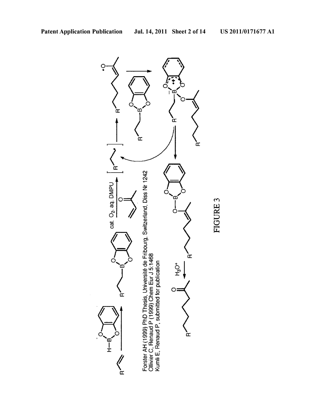 FLUORESCENCE DETECTION OF POISON OAK OIL - diagram, schematic, and image 03