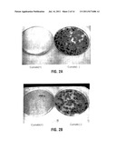 REVERSE CUMATE REPRESSOR MUTANT diagram and image