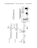 REVERSE CUMATE REPRESSOR MUTANT diagram and image