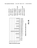 REVERSE CUMATE REPRESSOR MUTANT diagram and image