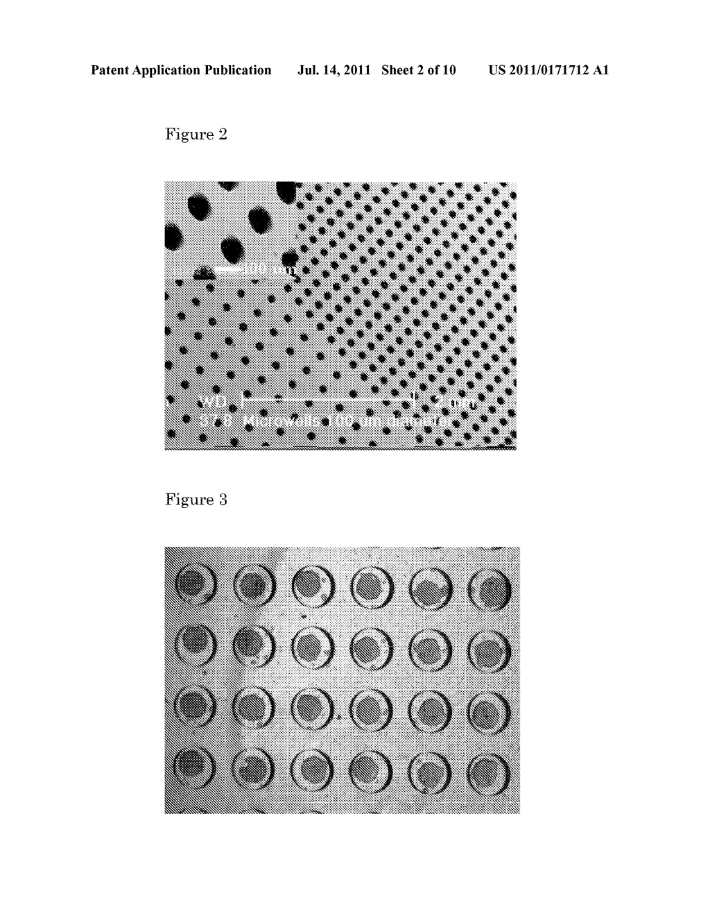 SELF-ASSEMBLING TISSUE MODULES - diagram, schematic, and image 03