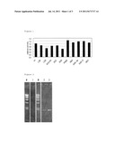 METHOD FOR ENHANCING POLYMERASE ACTIVITY diagram and image