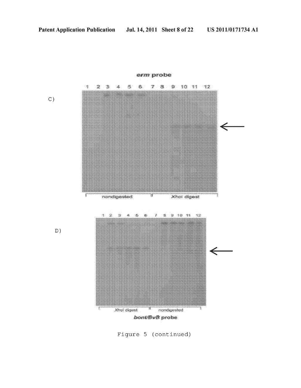 CONJUGATIVE PLASMIDS AND METHODS OF USE THEREOF - diagram, schematic, and image 09