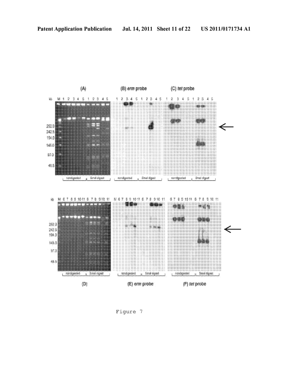 CONJUGATIVE PLASMIDS AND METHODS OF USE THEREOF - diagram, schematic, and image 12