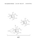 LIGHT-EMITTING NANOPARTICLES AND METHOD OF MAKING SAME diagram and image