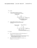 POSITIONING SYSTEM, TERMINAL APPARATUS, CONTROL METHOD OF TERMINAL     APPARATUS diagram and image