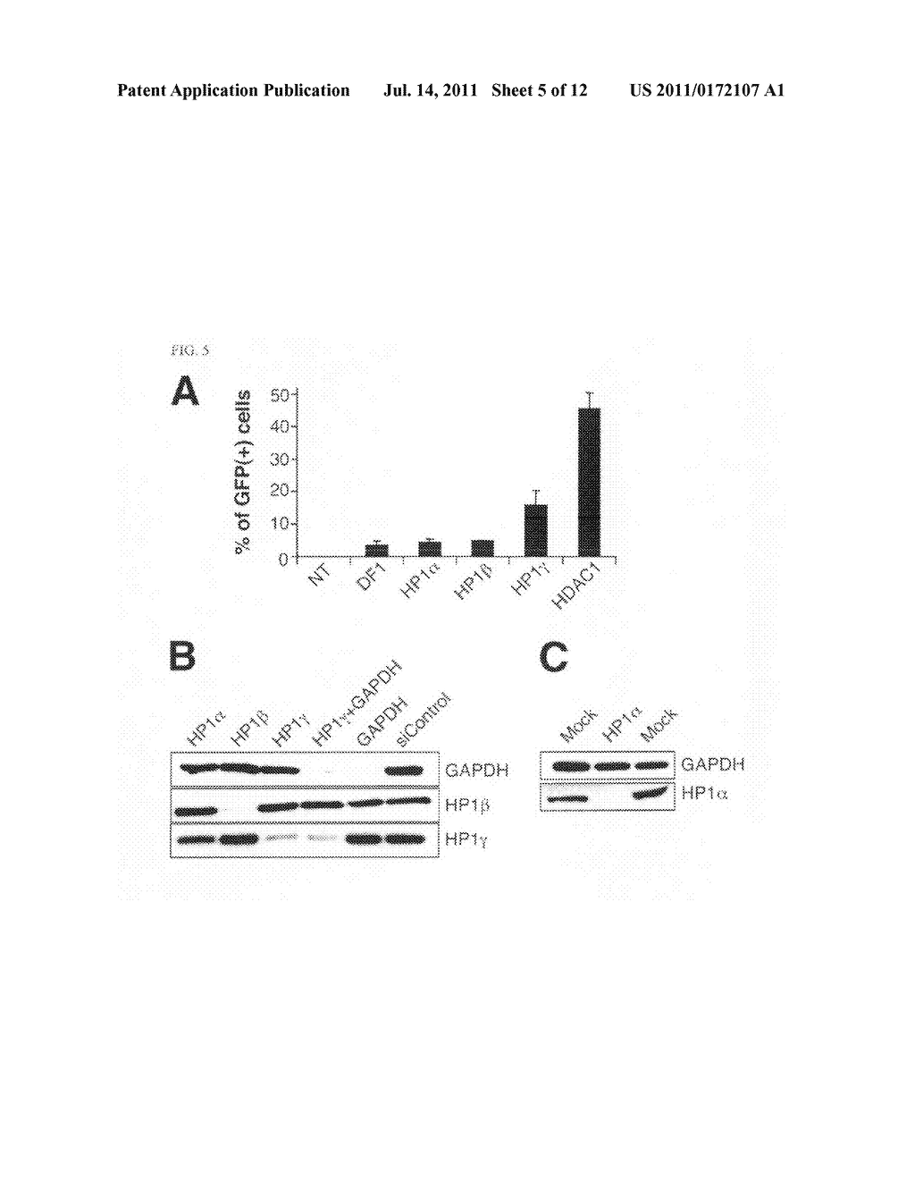 ASSAY FOR IDENTIFYING AGENTS THAT MODULATE EPIGENETIC SILENCING, AND     AGENTS IDENTIFIED THEREBY - diagram, schematic, and image 06