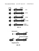 Compositions and Systems for the Regulation of Genes diagram and image