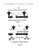 Compositions and Systems for the Regulation of Genes diagram and image