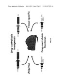 Compositions and Systems for the Regulation of Genes diagram and image