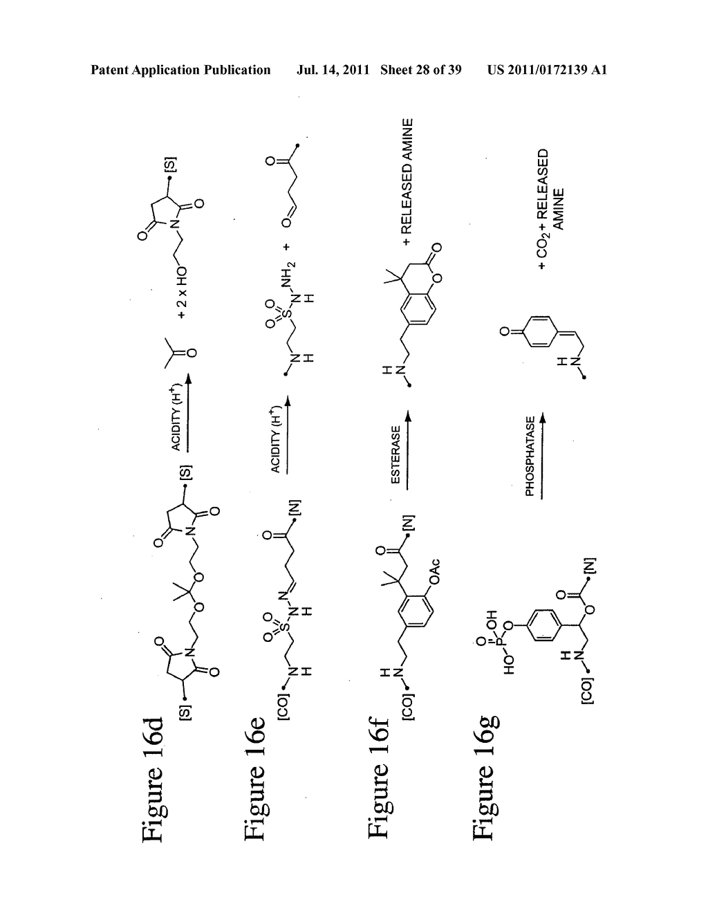 PEPTIDES WHOSE UPTAKE BY CELLS IS CONTROLLABLE - diagram, schematic, and image 29