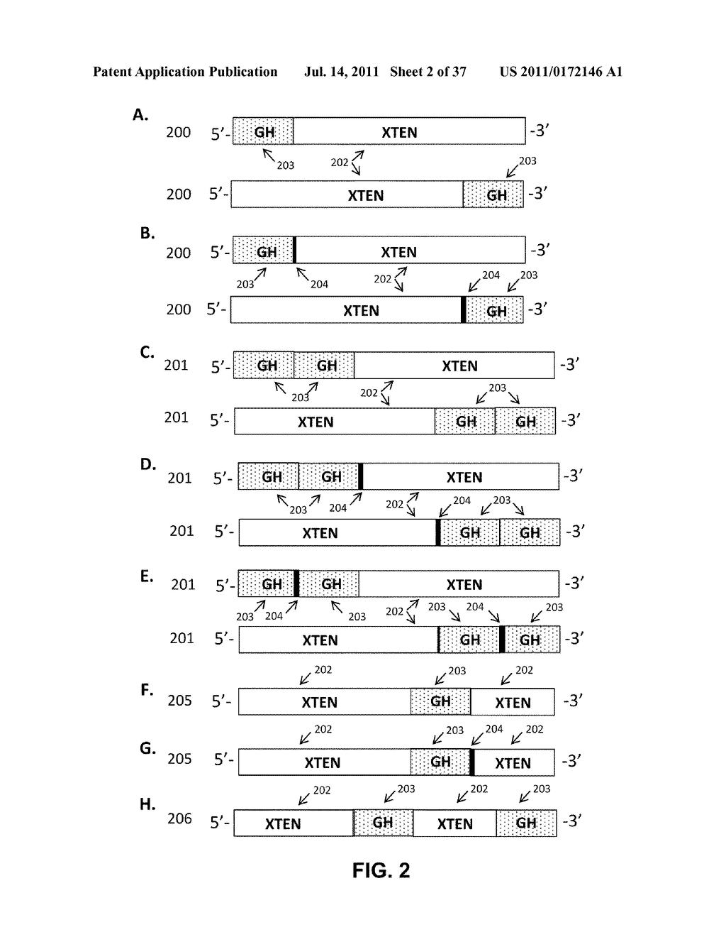 GROWTH HORMONE POLYPEPTIDES AND METHODS OF MAKING AND USING SAME - diagram, schematic, and image 03