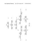 Method of Detection of Nucleic Acids with a Specific Sequence Composition diagram and image