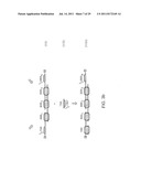 Method of Detection of Nucleic Acids with a Specific Sequence Composition diagram and image