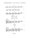 Method of Detection of Nucleic Acids with a Specific Sequence Composition diagram and image