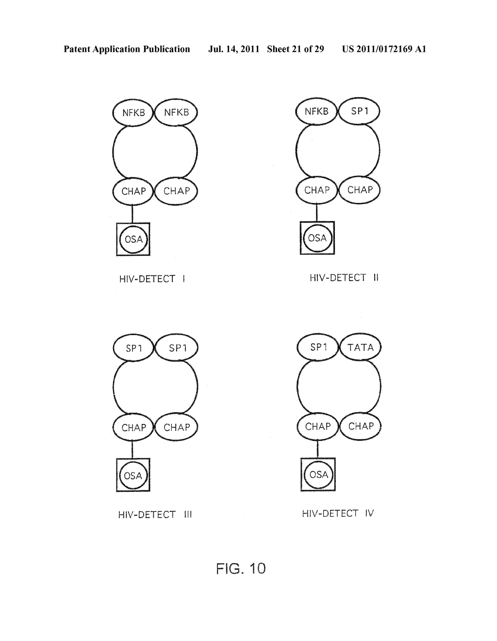 Method of Detection of Nucleic Acids with a Specific Sequence Composition - diagram, schematic, and image 22