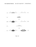 Method of Detection of Nucleic Acids with a Specific Sequence Composition diagram and image