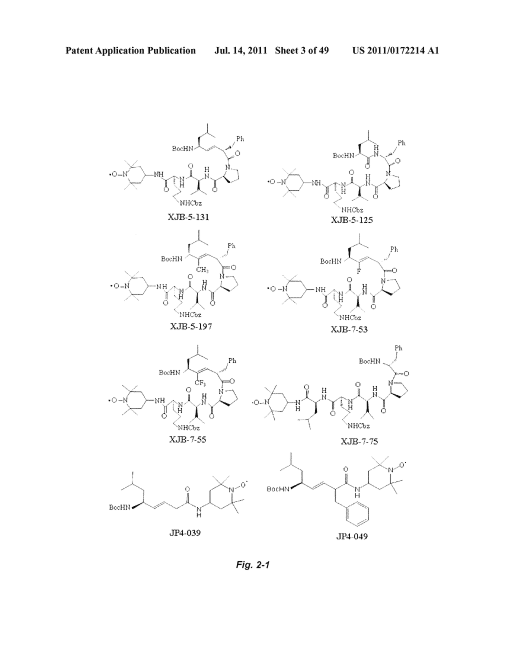 USE OF TARGETED NITROXIDE AGENTS IN PREVENTING, MITIGATING AND TREATING     RADIATION INJURY - diagram, schematic, and image 04