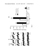 USE OF TARGETED NITROXIDE AGENTS IN PREVENTING, MITIGATING AND TREATING     RADIATION INJURY diagram and image