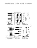 USE OF TARGETED NITROXIDE AGENTS IN PREVENTING, MITIGATING AND TREATING     RADIATION INJURY diagram and image