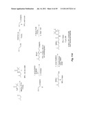 USE OF TARGETED NITROXIDE AGENTS IN PREVENTING, MITIGATING AND TREATING     RADIATION INJURY diagram and image