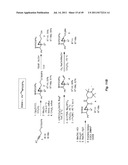 USE OF TARGETED NITROXIDE AGENTS IN PREVENTING, MITIGATING AND TREATING     RADIATION INJURY diagram and image