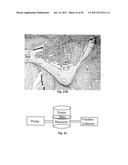 USE OF TARGETED NITROXIDE AGENTS IN PREVENTING, MITIGATING AND TREATING     RADIATION INJURY diagram and image