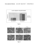 USE OF TARGETED NITROXIDE AGENTS IN PREVENTING, MITIGATING AND TREATING     RADIATION INJURY diagram and image