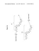 MINOR GROOVE BINDER (MGB)-OLIGONUCLEOTIDE MIRNA ANTAGONISTS diagram and image