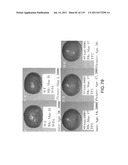 Isoforms of eIF-5A: Senescence-induced eIF5A; Wounding-induced elF-5A;     Growth elF-5A; and DHS diagram and image