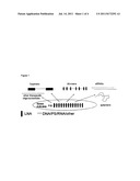 ANTIDOTE OLIGOMERS diagram and image