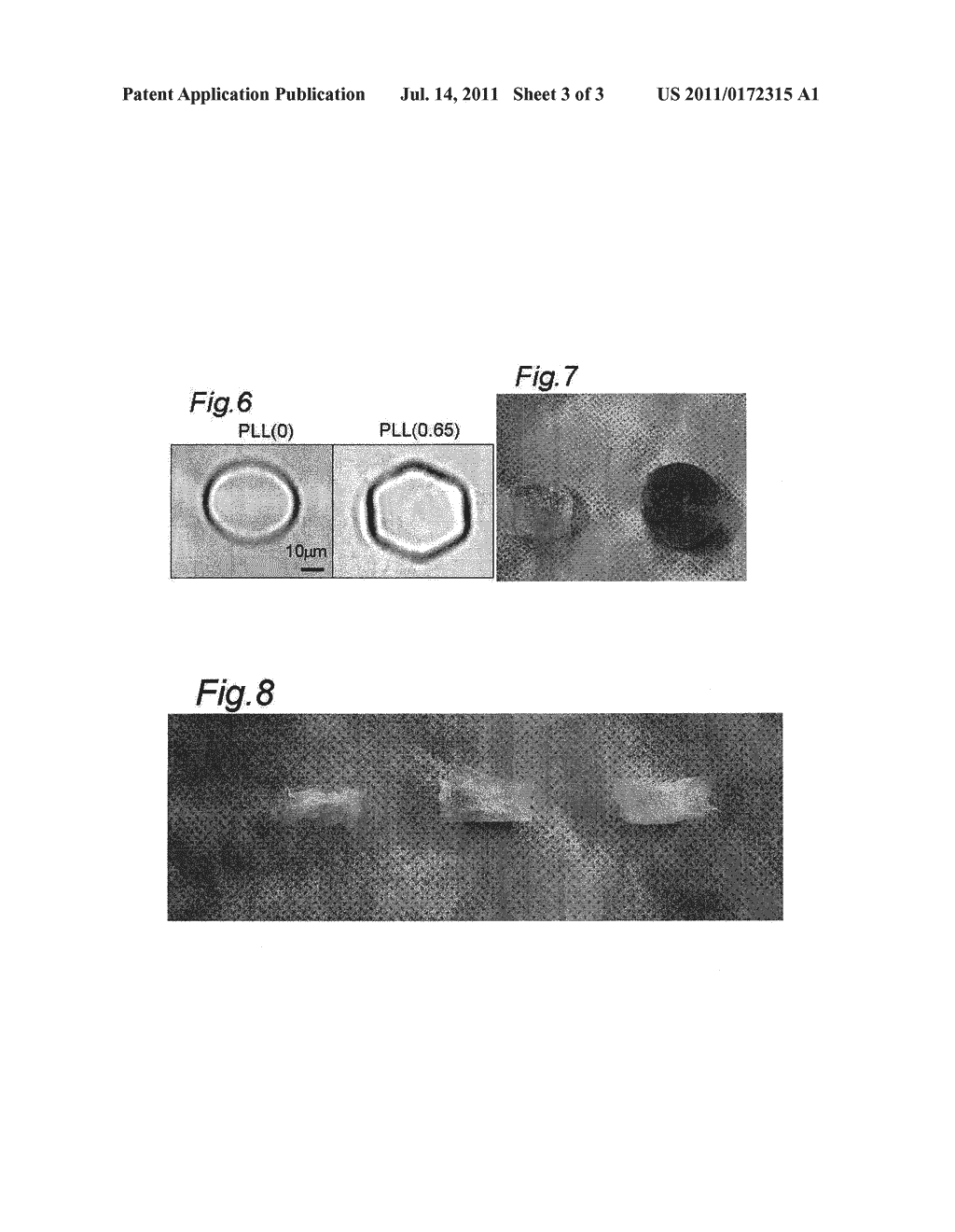 COMPOSITION FOR CRYOPRESERVATION OF CELLS AND TISSUES - diagram, schematic, and image 04