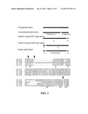 PROTEIN SPLICING USING SHORT TERMINAL SPLIT INTEINS diagram and image