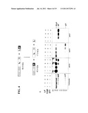 PROTEIN SPLICING USING SHORT TERMINAL SPLIT INTEINS diagram and image