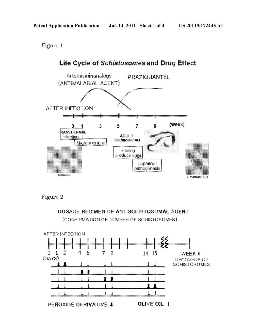 Novel Antischistosomal Agent - diagram, schematic, and image 02