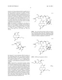 METHODS AND COMPOSITIONS FOR USE IN TREATING CANCER diagram and image