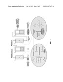 INTEGRATED PROCESS AND APPARATUS TO PRODUCE HYDROCARBONS FROM AQUEOUS     SOLUTIONS OF LACTONES, HYDROXY-CARBOXYLIC ACIDS, ALKENE-CARBOXYLIC ACIDS,     AND/OR ALCOHOLS diagram and image