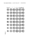 DEVICE FOR CREATING DATABASE OF ALTERNATIVE NORMAL BRAIN diagram and image