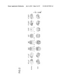 DEVICE FOR CREATING DATABASE OF ALTERNATIVE NORMAL BRAIN diagram and image