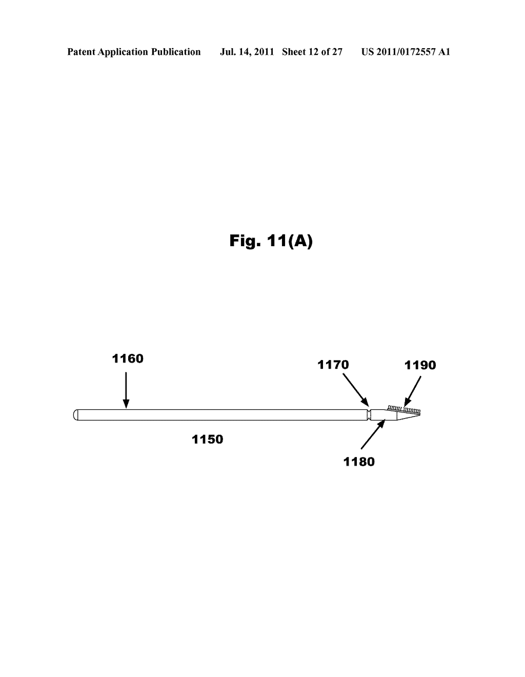 FRICTIONAL TRANS-EPITHELIAL TISSUE DISRUPTION COLLECTION APPARATUS AND     METHOD OF INDUCING AN IMMUNE RESPONSE - diagram, schematic, and image 13