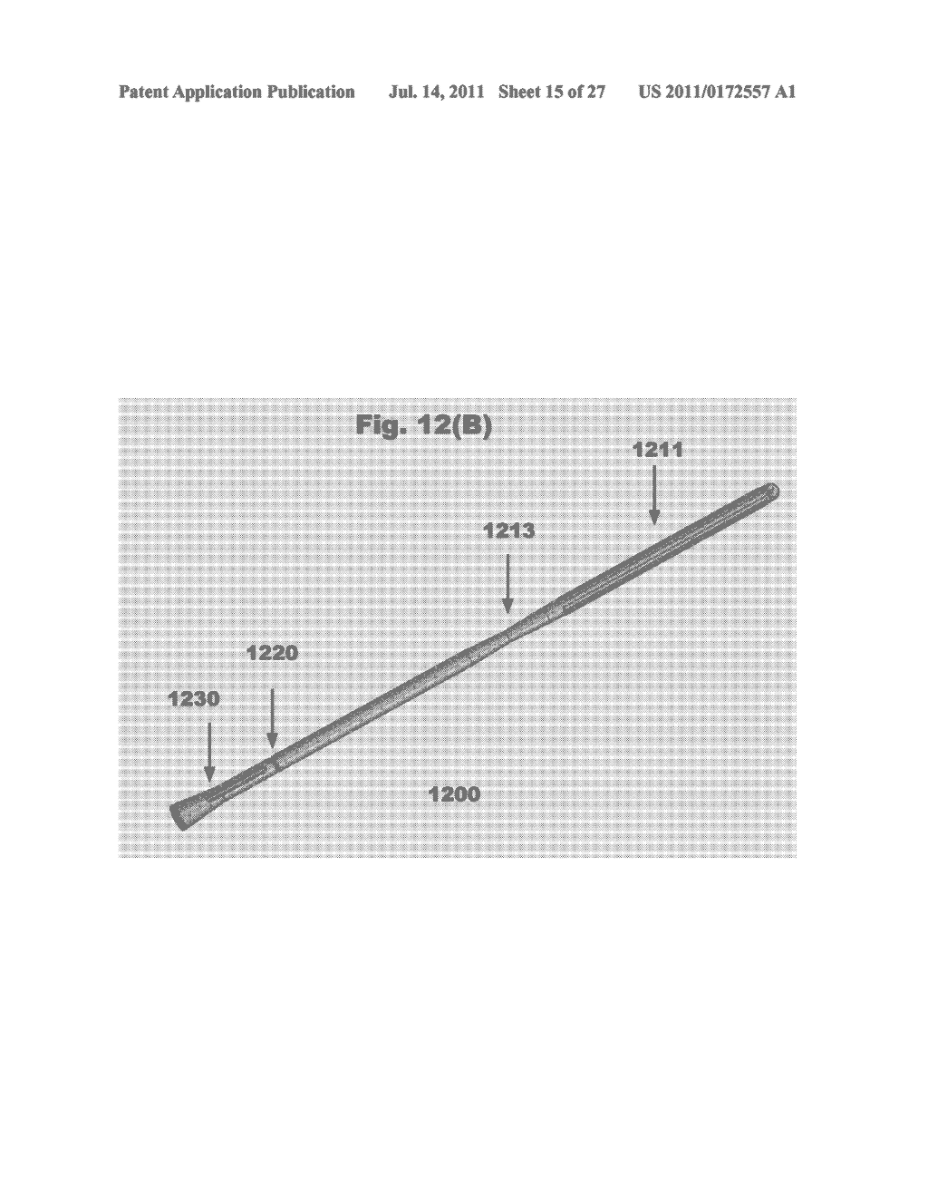 FRICTIONAL TRANS-EPITHELIAL TISSUE DISRUPTION COLLECTION APPARATUS AND     METHOD OF INDUCING AN IMMUNE RESPONSE - diagram, schematic, and image 16