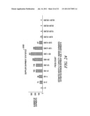 EVALUATING PUBLIC RECORDS OF SUPPLY TRANSACTIONS FOR FINANCIAL INVESTMENT     DECISIONS diagram and image